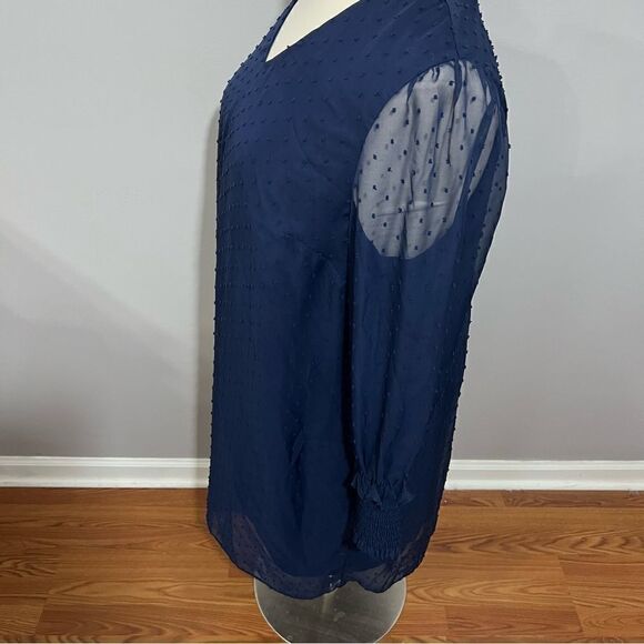 Draper James Navy Swiss Dot Sheer Elasticized‎ Sleeve Dress -- 2X - Picture 9 of 14